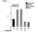 Fig. 06 - METHODS TO RESTORE GLYCEMIC CONTROL