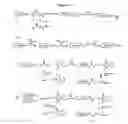 Fig. 22 - MODIFIED BOVINE SOMATOTROPIN POLYPEPTIDES AND THEIR USES