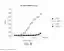 Fig. 07 - COMPOSITIONS AND METHODS FOR THE THERAPY AND DIAGNOSIS OF CYTOMEGALOVIRUS