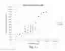 Fig. 10 - COMPOSITIONS AND METHODS FOR THE THERAPY AND DIAGNOSIS OF CYTOMEGALOVIRUS
