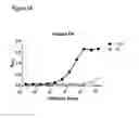 Fig. 02 - COMPOSITIONS AND METHODS FOR BINDING CYSTEINYL LEUKOTRIENES (CYSLTS) FOR TREATMENT OF DISEASE
