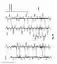 Fig. 09 - CRYSTAL STRUCTURE OF STAPHYLOCOCCUS AUREUS CLUMPING FACTOR A IN COMPLEX WITH FIBRINOGEN DERIVED PEPTIDE AND USES THEREOF