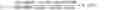 Fig. 02 - Monoclonal antibodies with enhanced ADCC function