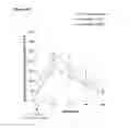 Fig. 09 - Dosing regimens for use with PCSK9 inhibitors