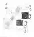 Fig. 03 - Polymer monoliths for solvent exchange in continuous flow microfluidic device