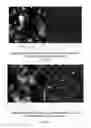 Fig. 19 - FUNCTIONALIZED-ESBR WITH ACRYLATE FUNCTIONAL BASE GROUP