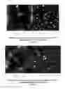 Fig. 20 - FUNCTIONALIZED-ESBR WITH ACRYLATE FUNCTIONAL BASE GROUP