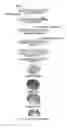 Fig. 01 - LIQUID COMPRESSION MODLING ENCAPSULANTS