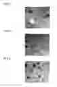 Fig. 02 - Adhesive composition and production method thereof