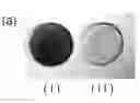 Fig. 01 - POLYMER PARTICLES AND USE THEREOF