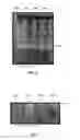 Fig. 08 - Suspended solids separation