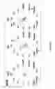 Fig. 28 - Methods of evaluating immunogenicity of an agent using an artificial tissue construct