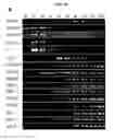Fig. 22 - Generation of cardiomyocytes from human pluripotent stem cells