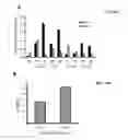 Fig. 26 - Generation of cardiomyocytes from human pluripotent stem cells