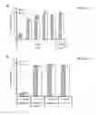 Fig. 28 - Generation of cardiomyocytes from human pluripotent stem cells