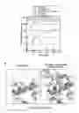 Fig. 43 - Endoribonuclease and methods of use thereof