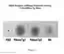 Fig. 06 - Therapeutic nuclease compositions and methods