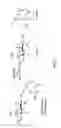 Fig. 02 - Method of producing recombinant proteins with mannose-terminated N-glycans
