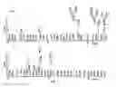 Fig. 08 - Method of producing recombinant proteins with mannose-terminated N-glycans