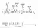 Fig. 09 - Method of producing recombinant proteins with mannose-terminated N-glycans