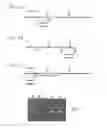 Fig. 02 - Composition and Method for In Vivo and In Vitro Attenuation of Gene Expression Using Double Stranded RNA