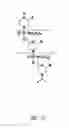 Fig. 02 - MULTIPLE EXON SKIPPING COMPOSITIONS FOR DMD