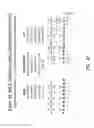 Fig. 40 - MULTIPLE EXON SKIPPING COMPOSITIONS FOR DMD