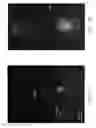 Fig. 02 - COMPOSITIONS AND METHODS FOR THE EXPRESSION OF A SEQUENCE IN A REPRODUCTIVE TISSUE OF A PLANT