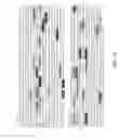 Fig. 07 - COMPOSITIONS AND METHODS FOR THE EXPRESSION OF A SEQUENCE IN A REPRODUCTIVE TISSUE OF A PLANT