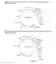 Fig. 06 - PLANTS WITH INCREASED YIELD AND A METHOD FOR MAKING THE SAME