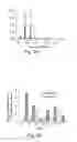 Fig. 06 - Microbial engineering for the production of chemical and pharmaceutical products from the isoprenoid pathway