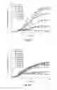 Fig. 08 - Microbial engineering for the production of chemical and pharmaceutical products from the isoprenoid pathway