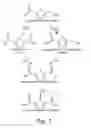 Fig. 02 - Enzymatic Oxidation of 5-Hydroxymethylfurfural and Derivatives Thereof