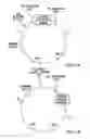 Fig. 02 - METHODS AND COMPOSITIONS FOR SEAMLESS CLONING OF NUCLEIC ACID MOLECULES