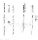 Fig. 22 - METHODS AND COMPOSITIONS FOR SEAMLESS CLONING OF NUCLEIC ACID MOLECULES