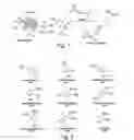 Fig. 02 - Protease detection