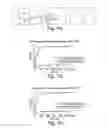 Fig. 06 - Protease detection