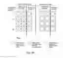 Fig. 07 - Protease detection