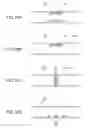 Fig. 20 - CONTAINER FOR NUCLEIC ACID AMPLIFICATION REACTION, CARTRIDGE FOR NUCLEIC ACID AMPLIFICATION REACTION, AND CARTRIDGE KIT FOR NUCLEIC ACID AMPLIFICATION REACTION