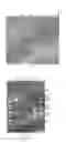 Fig. 03 - FAST AND RELIABLE WINE LACTIC BACTERIA IDENTIFICATION METHOD
