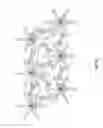 Fig. 09 - MICROBEAD AGGLUTINATION BASED ASSAYS