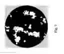 Fig. 11 - MICROBEAD AGGLUTINATION BASED ASSAYS
