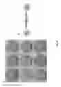 Fig. 12 - MICROBEAD AGGLUTINATION BASED ASSAYS