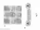 Fig. 13 - MICROBEAD AGGLUTINATION BASED ASSAYS