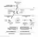 Fig. 01 - DIAGNOSTIC PORTFOLIO AND ITS USES
