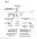 Fig. 02 - DIAGNOSTIC PORTFOLIO AND ITS USES