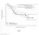 Fig. 06 - NUCLEIC ACID BIOMARKER AND USE THEREOF