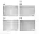 Fig. 02 - METHOD  FOR PREPARING RECYCLED LOW-NICKEL MAGNESIUM ALLOY USING MAGNESIUM SCRAPS