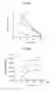 Fig. 09 - Method for manufacturing heat-resistant composite material
