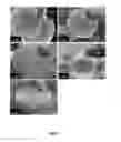 Fig. 08 - Preparation of Modified Organic Core Materials and Metallic Shell Composite Microspheres